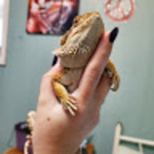 Meet your Posher, Katie